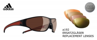 a192 replacement lenses