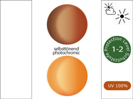 replacement lenses / a143 terrex pro - Auto orange/brown...